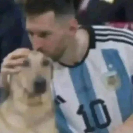 memni4ik